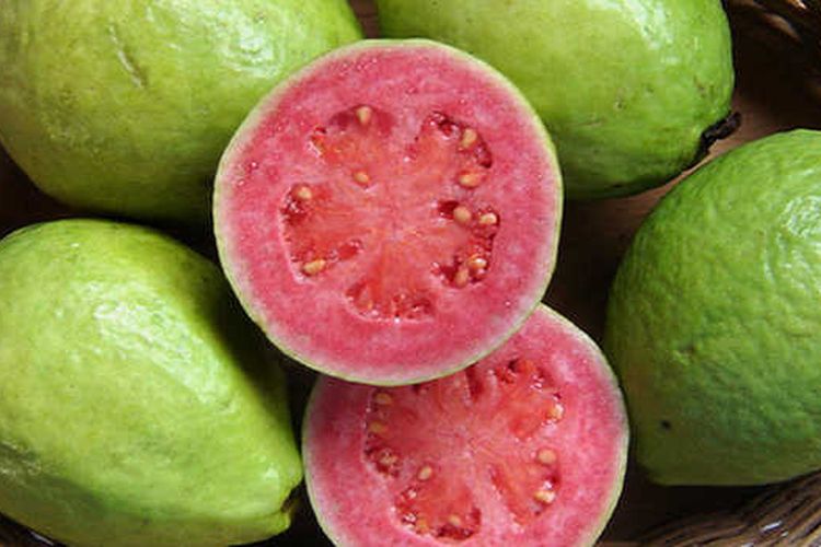 jambu biji
