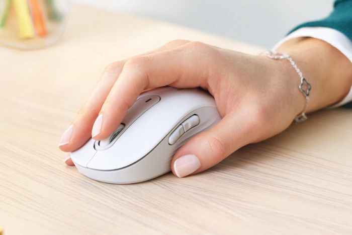 mouse
