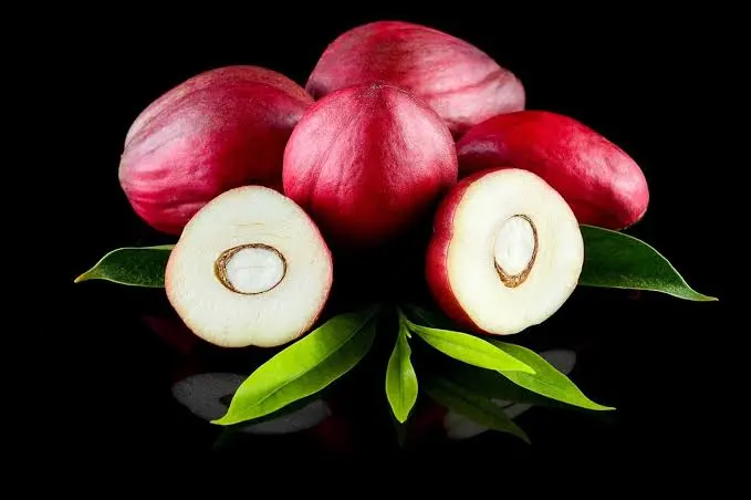 buah-mahkota-dewa