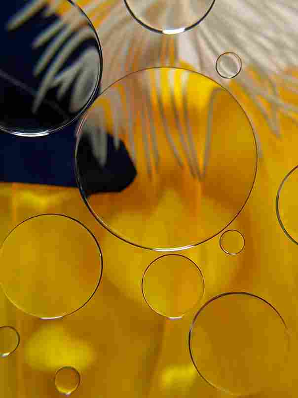 susan-wilkinson-s-2RnTKgkGk-unsplash_11zon
